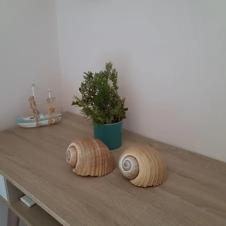 Freesia Grand Sea View スヴォロナータ